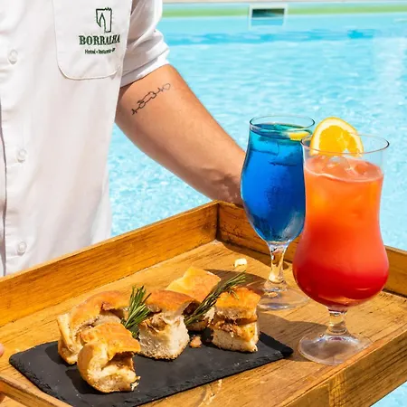 Bed & Breakfast Borralha Hotel, Restaurante & Vila Real