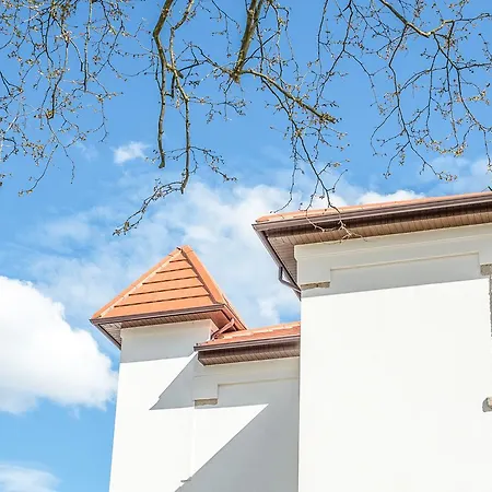 Borralha Hotel, Restaurante & Bed & Breakfast Vila Real